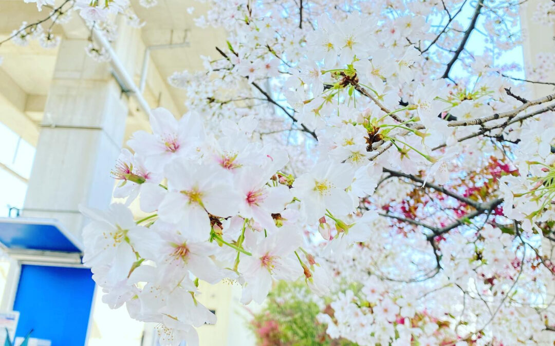 皆様こんにちは☀️