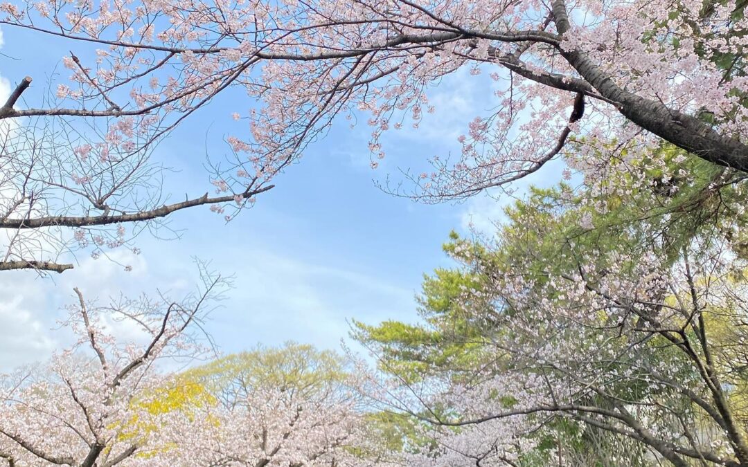 みなさまこんにちは☀️