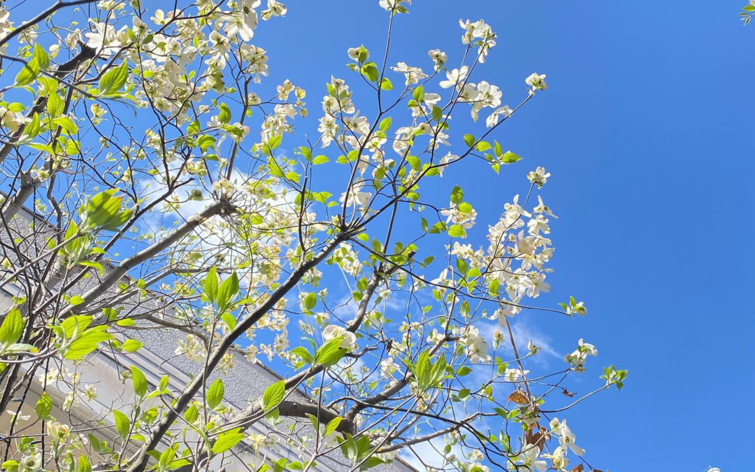 皆様こんにちは☀️