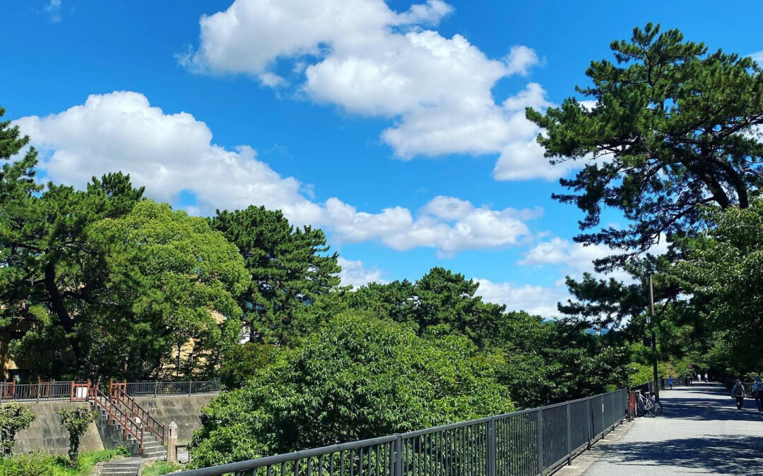 いつもたくさんのご来店ありがとうございます数日前の  です☀