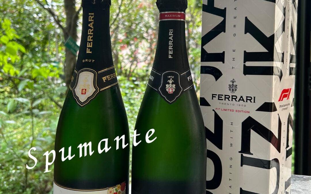 皆様こんにちは☀️